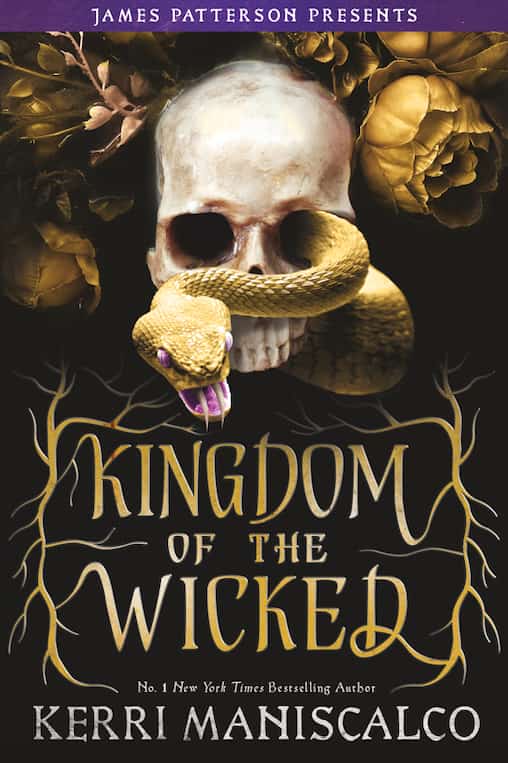 Book cover of Kingdom of the Wicked 