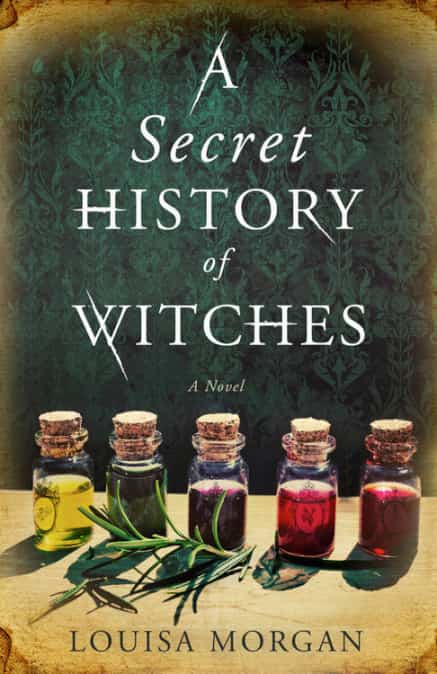 Book cover of A Secret History of Witches by Louisa Morgan