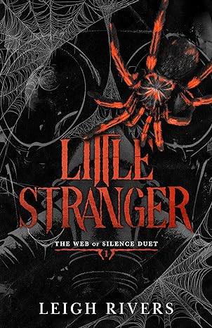Book cover of Little Stranger by Leigh Rivers
